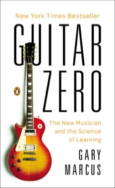 Guitar Zero book